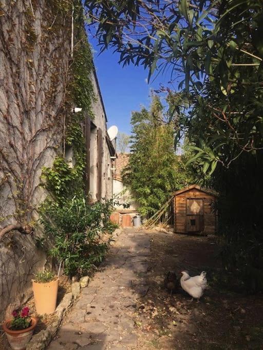 La Campagne Dans La Ville Narbona Exterior foto